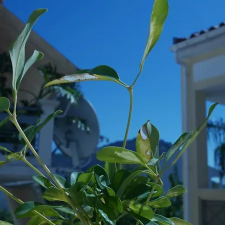 With The View Of Palamidi And Bourtzi Vakantiehuis