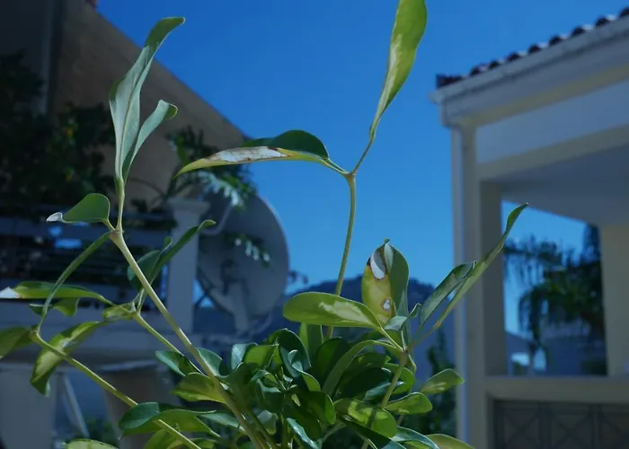 With The View Of Palamidi And Bourtzi Vakantiehuis